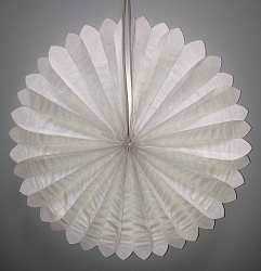 Бумажный диск Сплошной Белый (12''/30 см) 1 шт. Бумажный диск Сплошной Белый (12»/30 см) 1 шт.