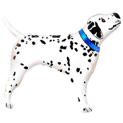 aa24b6f0_c8cc_11e0_81d0_b82b776c9b82_c1f2191c_ecea_11e4_ad00_5404a6a1bf15.resize1 Шар (13»/33 см) Мини-фигура, Далматинец реальный, Белый, 1 шт.