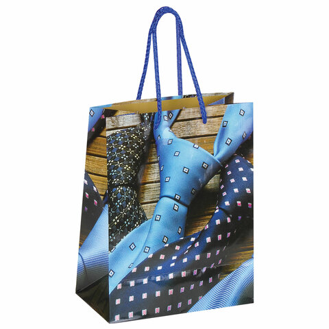 Пакет подарочный (1 штука) 18x10x23 см, ЗОЛОТАЯ СКАЗКА "Галстуки", ламинированный Пакет подарочный (1 штука) 18x10x23 см, ЗОЛОТАЯ СКАЗКА «Галстуки», ламинированный