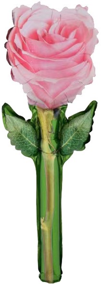 Шар с клапаном (17''/43 см) Мини-цветок, Роза, Розовый, 5 шт. в уп. Шар с клапаном (17»/43 см) Мини-цветок, Роза, Розовый, 5 шт. в уп.