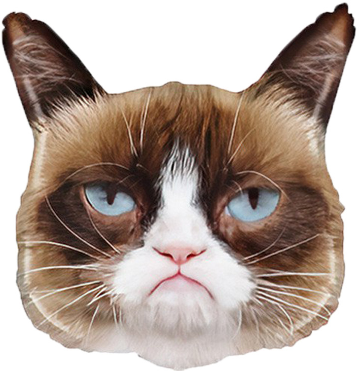 Шар (26''/66 см) Фигура, Сердитая кошка, 1 шт. в уп. Шар (26»/66 см) Фигура, Сердитая кошка, 1 шт. в уп.